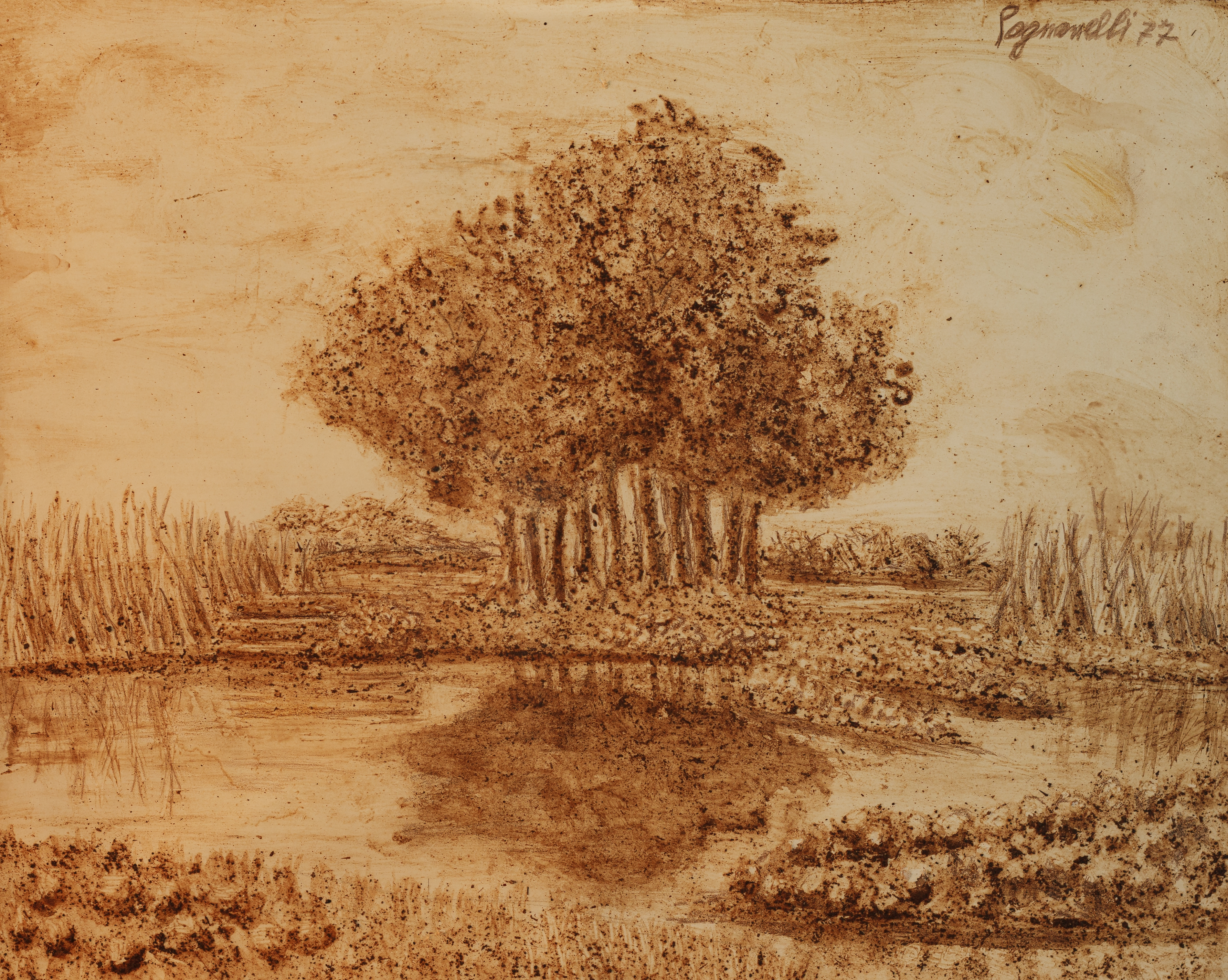 Fig. 3. Liana Medici Pagnanelli, 